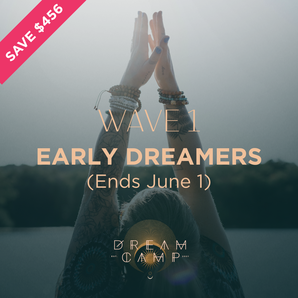 Wave 1 | Early Dreamers (Limited Packages Avaialable)