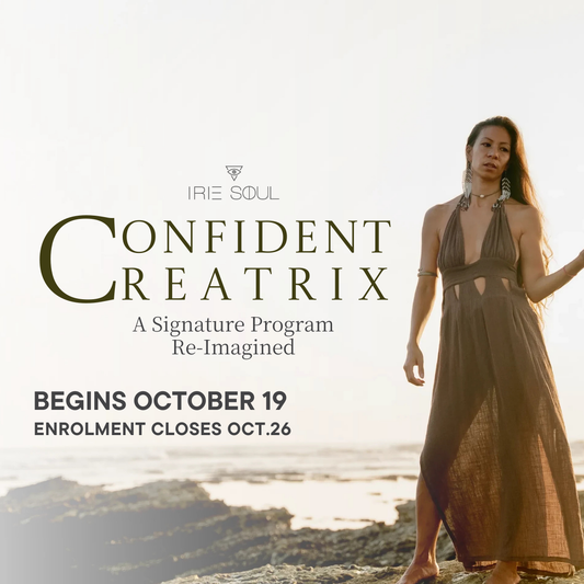 The Confident Creatrix + Dream On Integration Program (Stacy Irie Soul)
